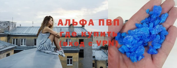 молекула духа Богородицк