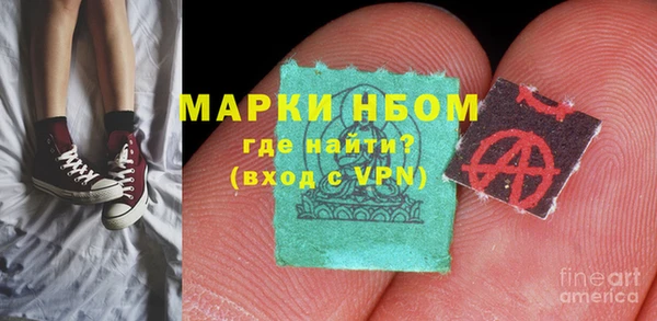 молекула духа Богородицк
