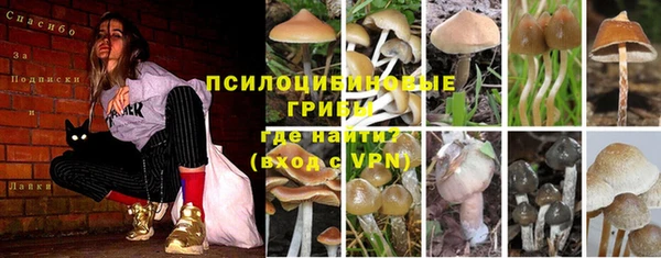 ALPHA PVP Богородск