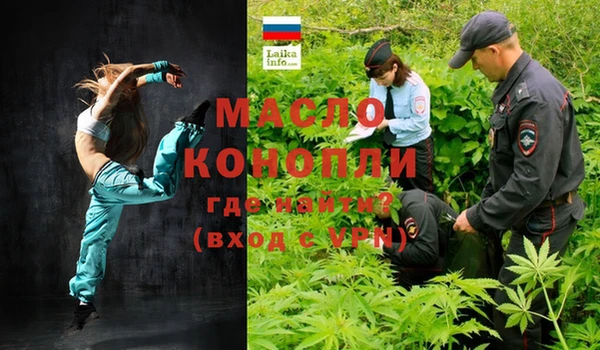 молекула духа Богородицк