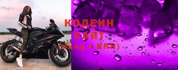 молекула духа Богородицк