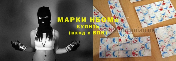 молекула духа Богородицк