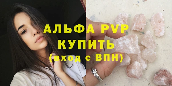 молекула духа Богородицк